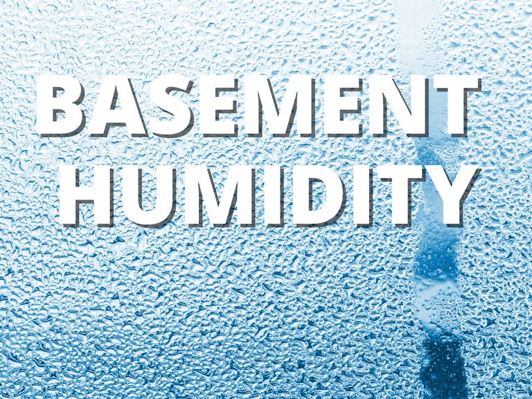 Basement Humidity