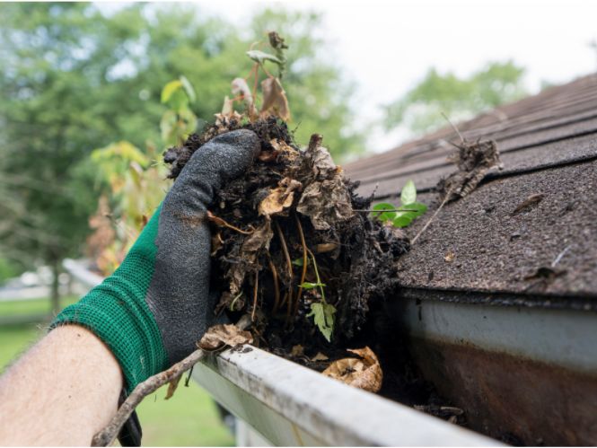 Gutter Cleaning