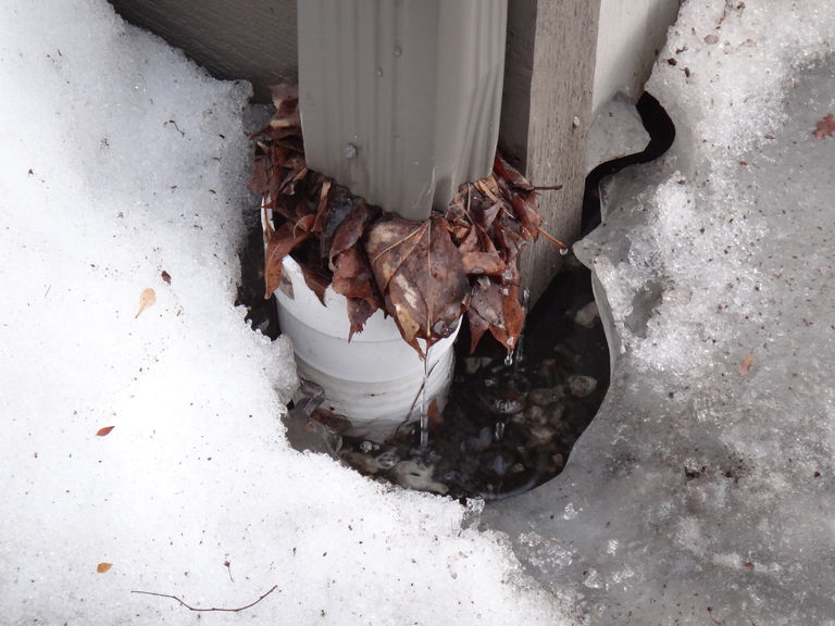 Downspout Dsc03613