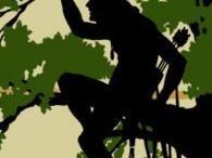 Oak Park Tarzan
