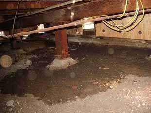 Wet Crawl Space