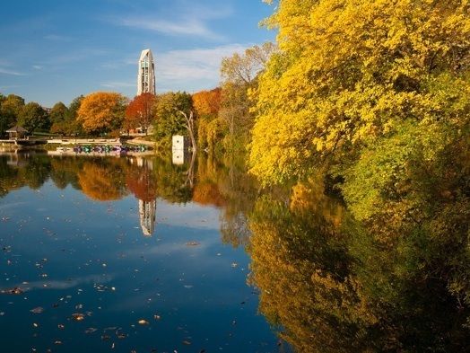 Naperville 2