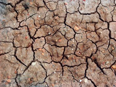 Cracked Earth