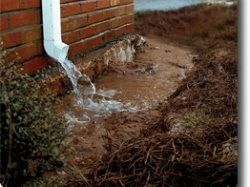 Downspout Drainage Problems2 250 219