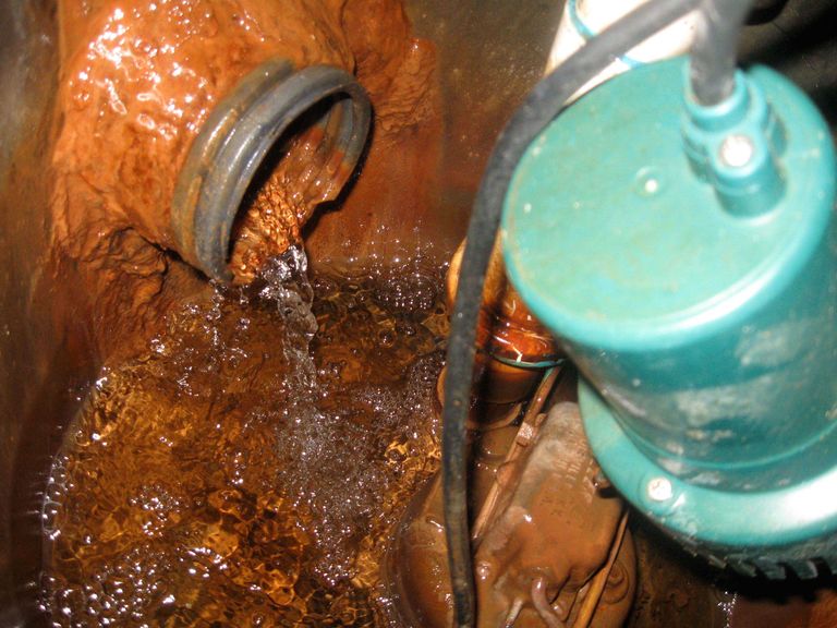 Iron Bacteria in Northwest Indiana Wet Basements