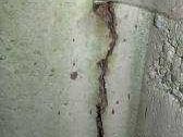 Basement Waterproofing Problems: DIY Foundation Crack Repair