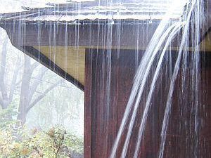 Clogged Gutters? Clean up this Fall to Prevent Basement Seepage