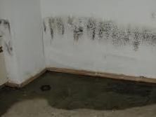 Basement Waterproofing: the Key to Basement Mold Prevention