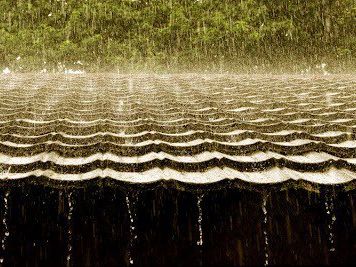 Basement Waterproofing Solutions: Understanding Downspout Extensions