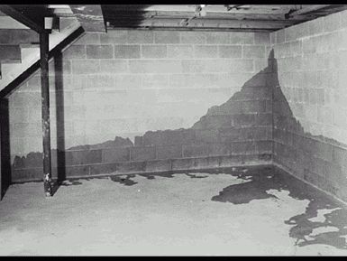 Everything You Want to Know About Leaky Basement Walls and Floors